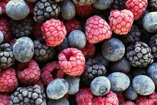 Виробництво заморожених фруктів та овочів, як ідея домашнього бізнесу